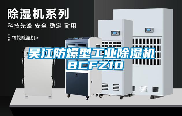 吴江防爆型工业粉色视频免费在线观看 BCFZ10