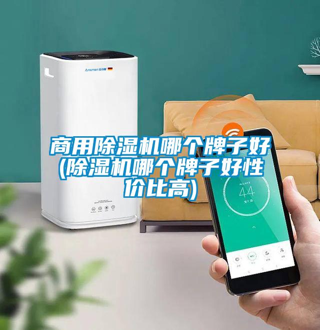 商用粉色视频免费在线观看哪个牌子好(粉色视频免费在线观看哪个牌子好性价比高)