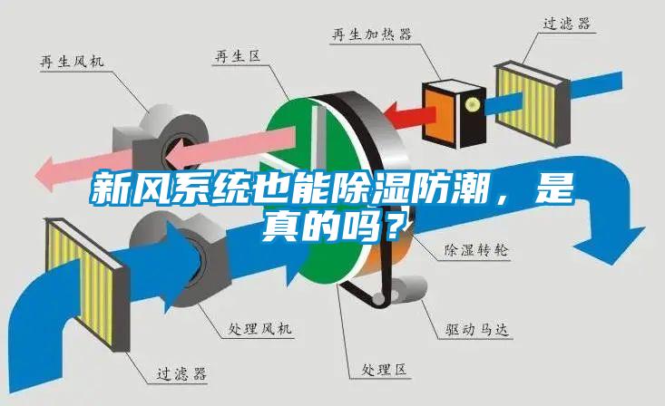 新风系统也能除湿防潮，是真的吗？