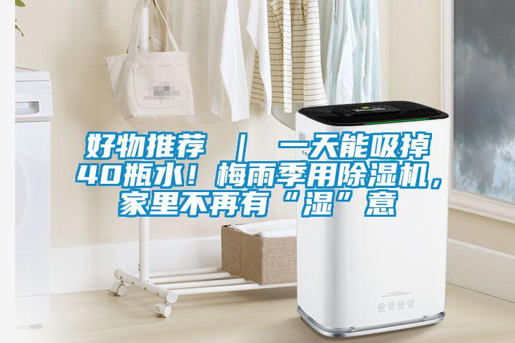 好物推荐 ｜ 一天能吸掉40瓶水！梅雨季用粉色视频免费在线观看，家里不再有“湿”意