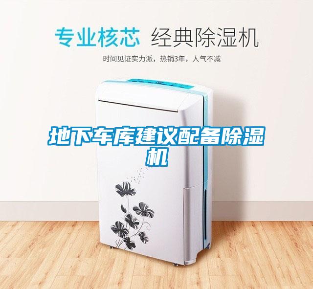 地下车库建议配备粉色视频免费在线观看