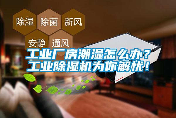 工业厂房潮湿怎么办？工业粉色视频免费在线观看为你解忧！