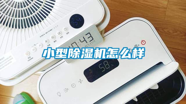 小型粉色视频免费在线观看怎么样
