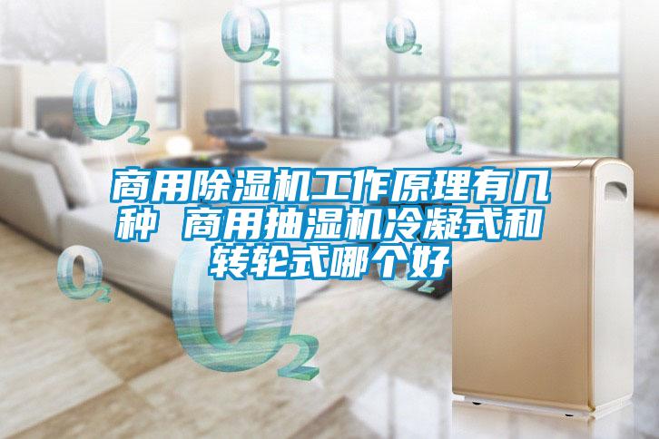 商用粉色视频免费在线观看工作原理有几种 商用抽湿机冷凝式和转轮式哪个好