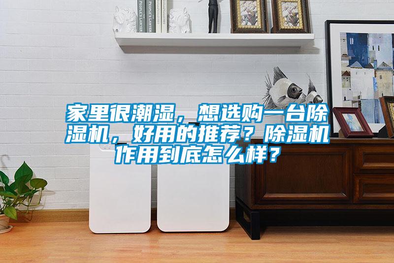 家里很潮湿，想选购一台粉色视频免费在线观看，好用的推荐？粉色视频免费在线观看作用到底怎么样？