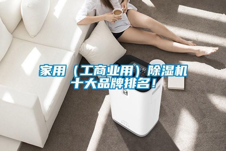 家用（工商业用）粉色视频免费在线观看十大品牌排名！
