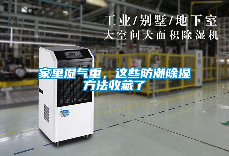 家里湿气重，这些防潮除湿方法收藏了
