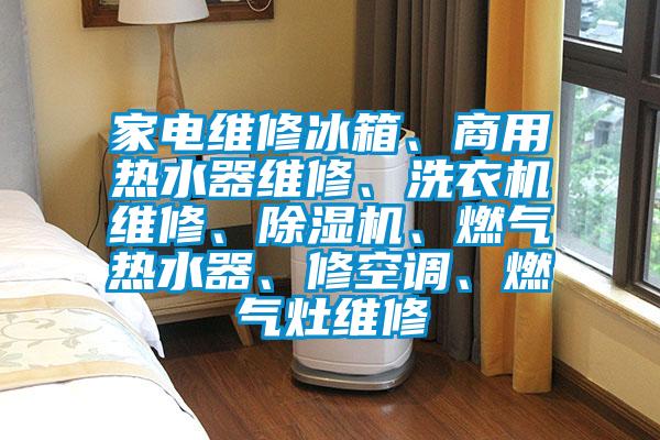 家电维修冰箱、商用热水器维修、洗衣机维修、粉色视频免费在线观看、燃气热水器、修空调、燃气灶维修