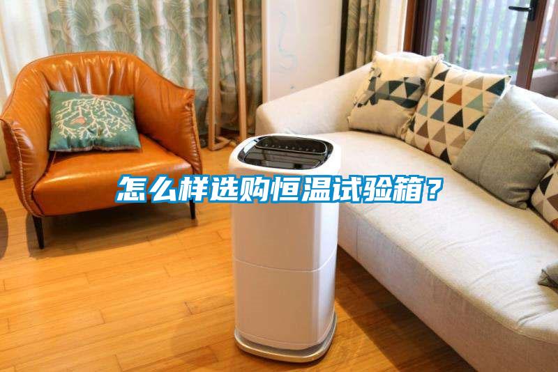 怎么样选购恒温试验箱？