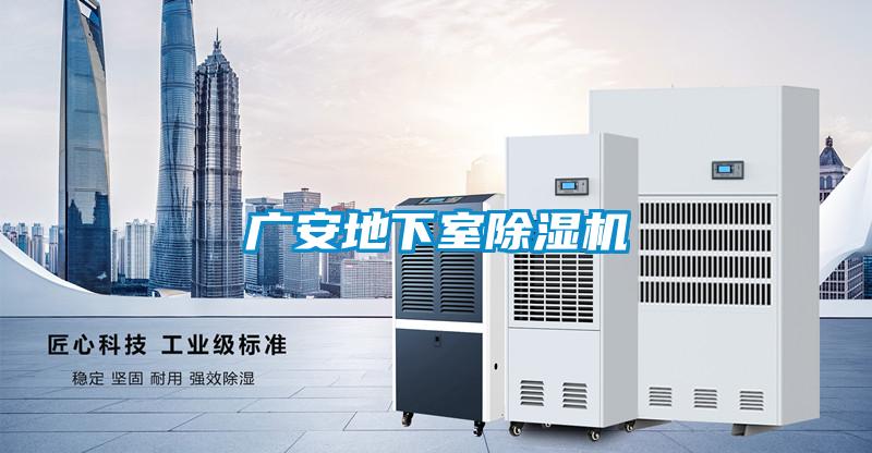 广安地下室粉色视频免费在线观看