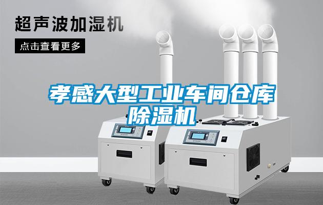 孝感大型工业车间仓库粉色视频免费在线观看