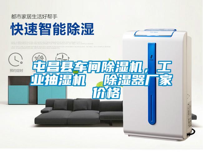 屯昌县车间粉色视频免费在线观看，工业抽湿机  除湿器厂家 价格