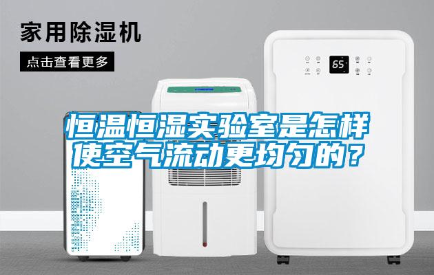 恒温恒湿实验室是怎样使空气流动更均匀的？