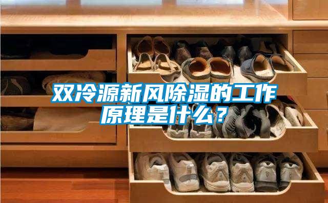 双冷源新风除湿的工作原理是什么？