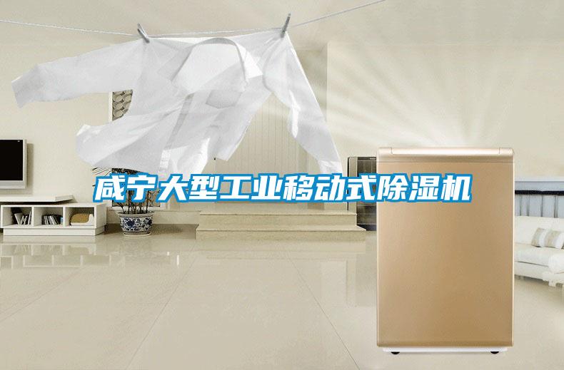 咸宁大型工业移动式粉色视频免费在线观看