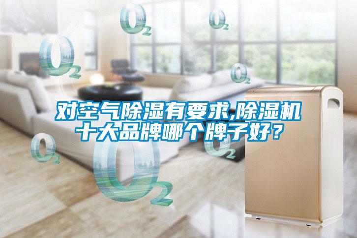 对空气除湿有要求,粉色视频免费在线观看十大品牌哪个牌子好？