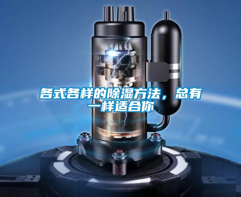 各式各样的除湿方法，总有一样适合你