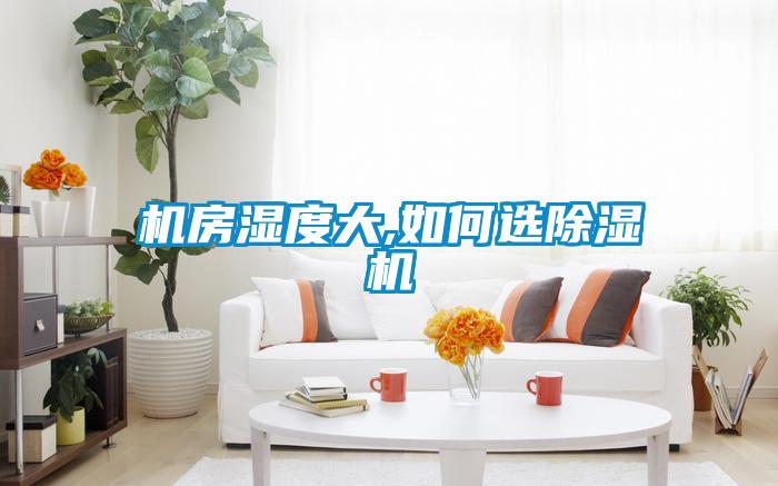 机房湿度大,如何选粉色视频免费在线观看
