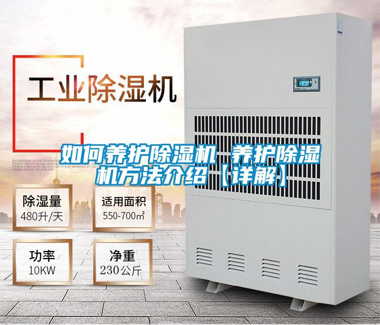 如何养护粉色视频免费在线观看 养护粉色视频免费在线观看方法介绍【详解】