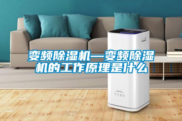 变频粉色视频免费在线观看—变频粉色视频免费在线观看的工作原理是什么