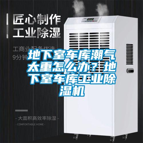 地下室车库潮气太重怎么办？地下室车库工业粉色视频免费在线观看