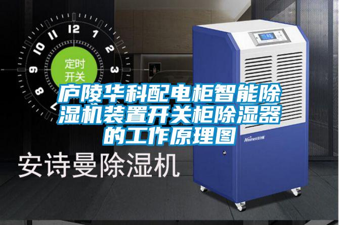 庐陵华科配电柜智能粉色视频免费在线观看装置开关柜除湿器的工作原理图
