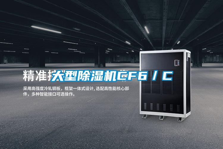 大型粉色视频免费在线观看CF6／C