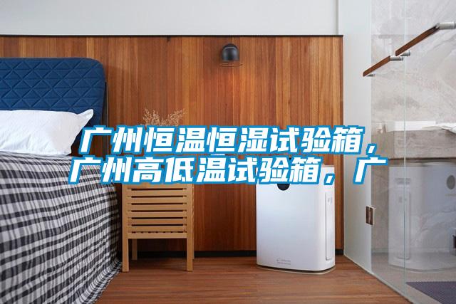 广州恒温恒湿试验箱，广州高低温试验箱，广