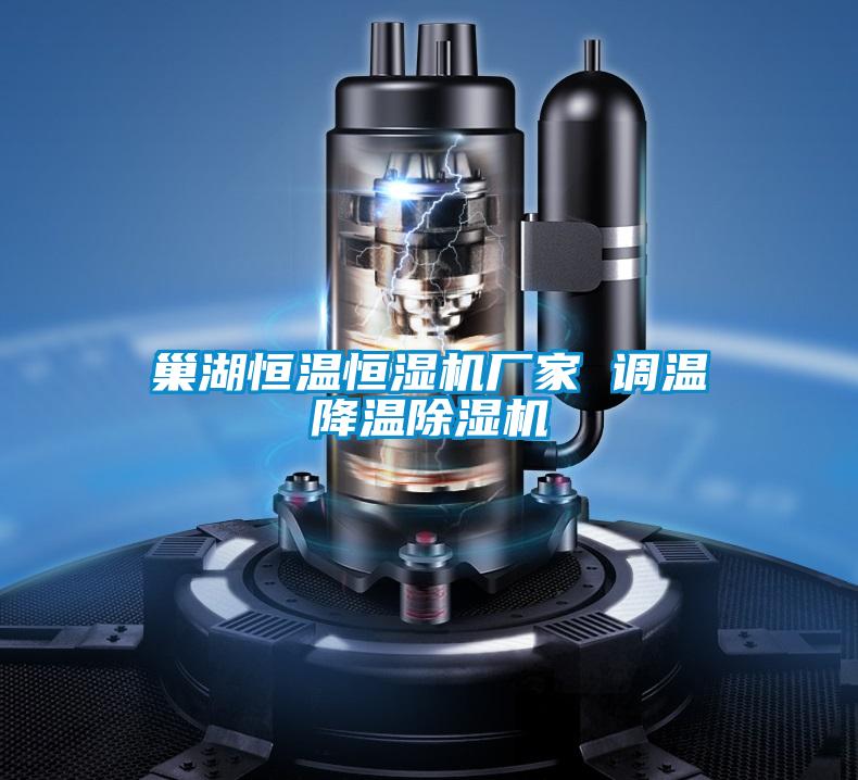 巢湖恒温恒湿机厂家 调温降温粉色视频免费在线观看
