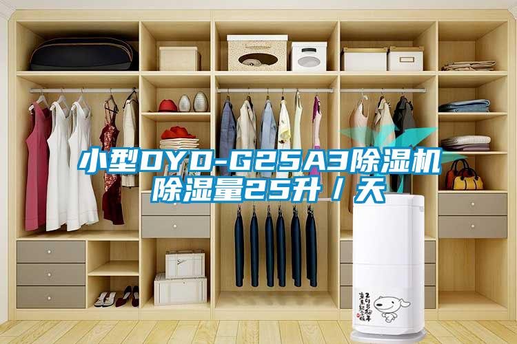 小型DYD-G25A3粉色视频免费在线观看 除湿量25升／天