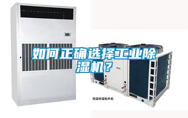 如何正确选择工业粉色视频免费在线观看？