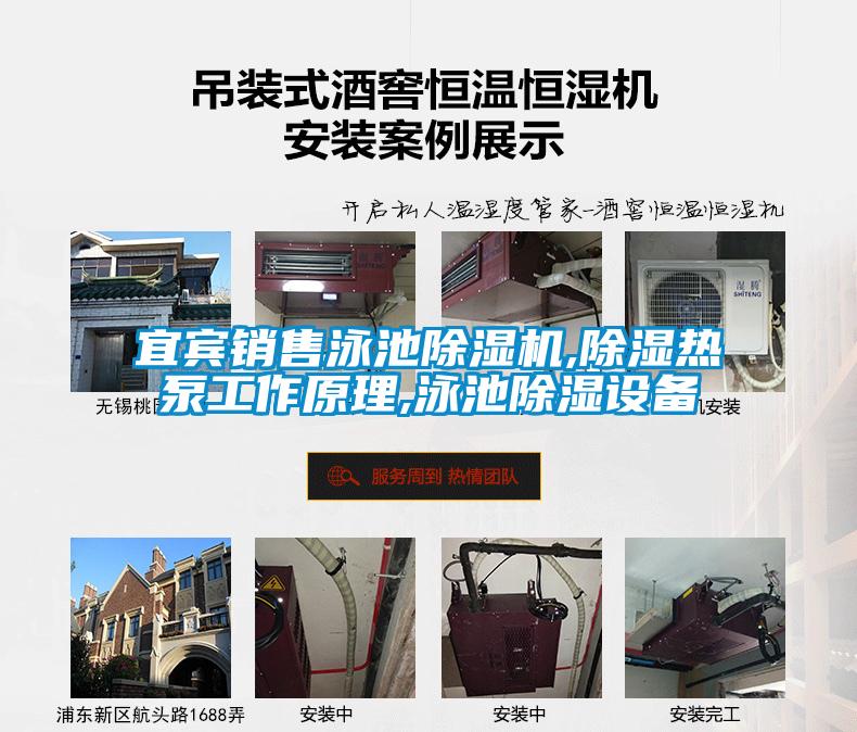 宜宾销售泳池粉色视频免费在线观看,除湿热泵工作原理,泳池除湿设备