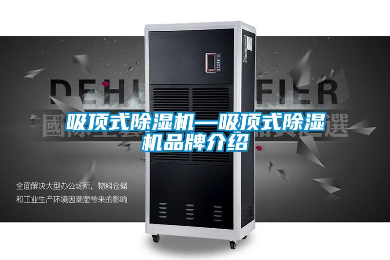 吸顶式粉色视频免费在线观看—吸顶式粉色视频免费在线观看品牌介绍
