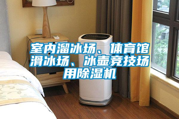 室内溜冰场、体育馆滑冰场、冰壶竞技场用粉色视频免费在线观看