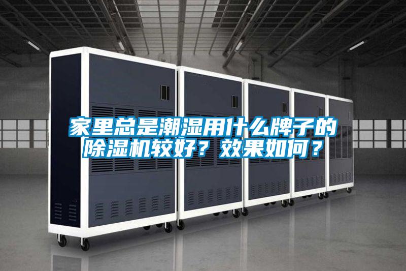 家里总是潮湿用什么牌子的粉色视频免费在线观看较好？效果如何？