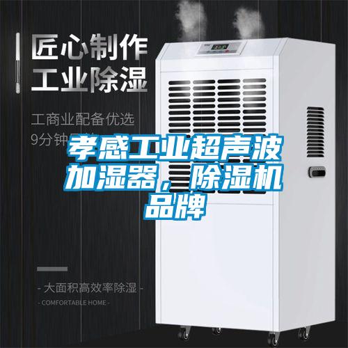 孝感工业超声波加湿器，粉色视频免费在线观看品牌