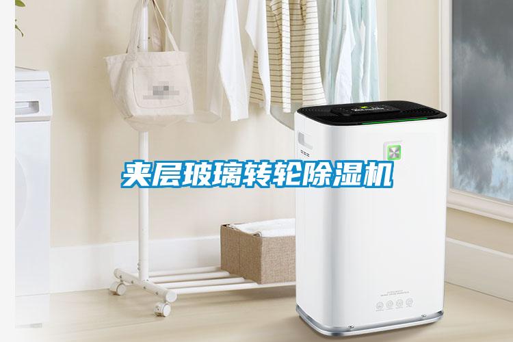 夹层玻璃转轮粉色视频免费在线观看