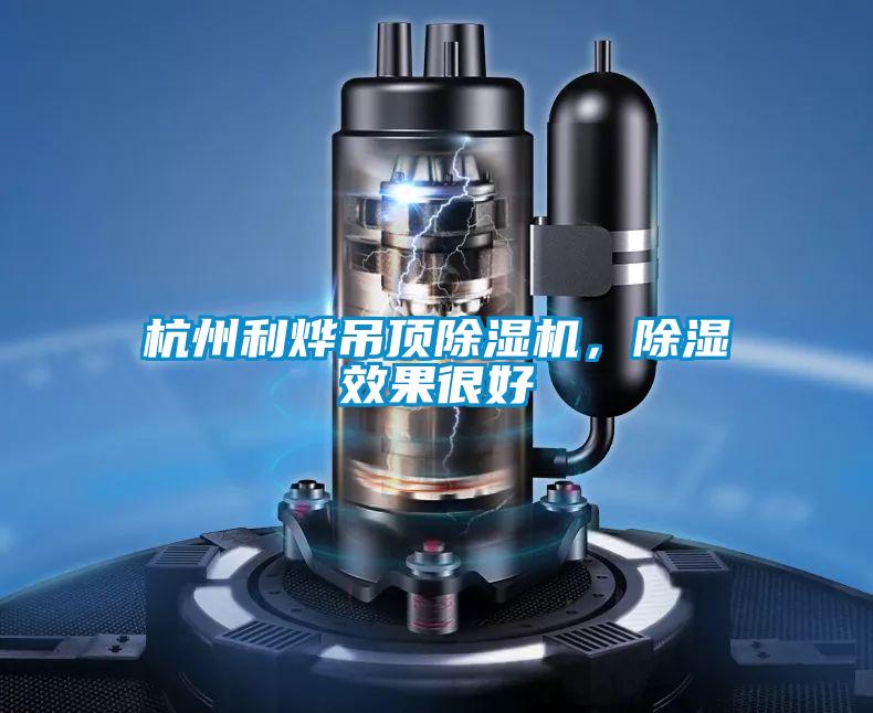 杭州利烨吊顶粉色视频免费在线观看，除湿效果很好