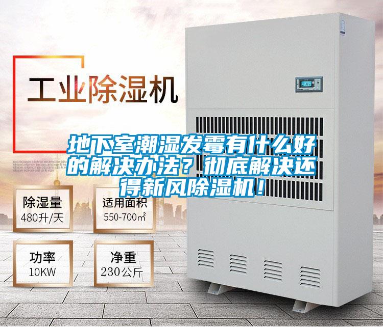 地下室潮湿发霉有什么好的解决办法？彻底解决还得新风粉色视频免费在线观看！
