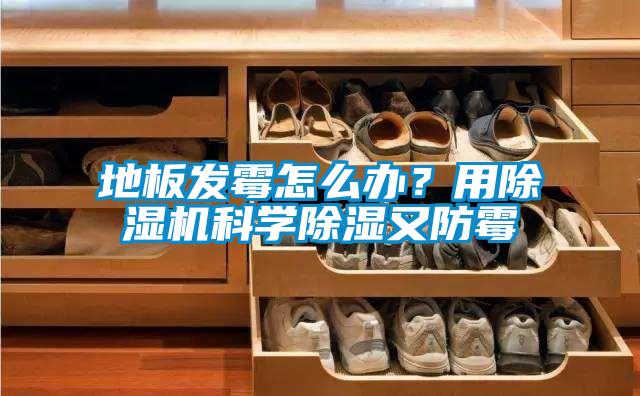 地板发霉怎么办？用粉色视频免费在线观看科学除湿又防霉