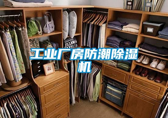 工业厂房防潮粉色视频免费在线观看