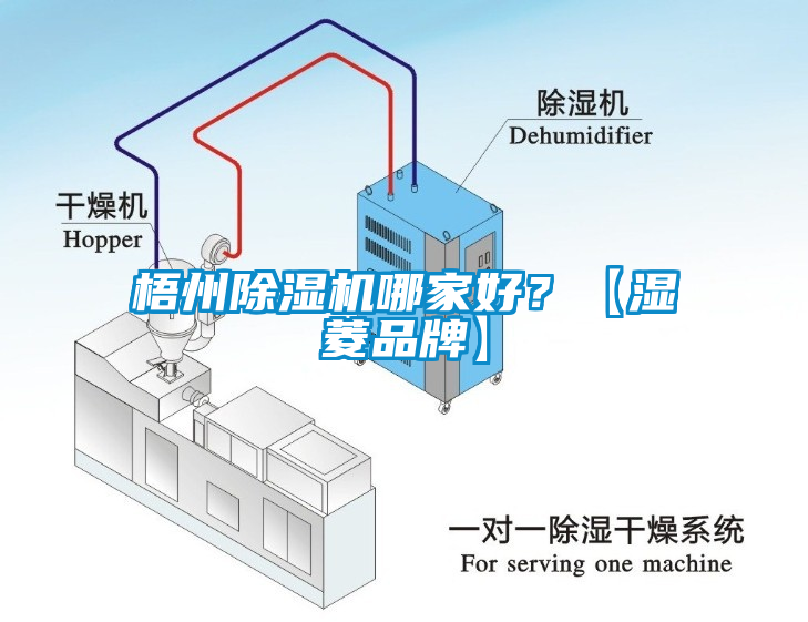 梧州粉色视频免费在线观看哪家好？【湿菱品牌】