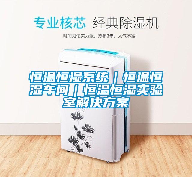 恒温恒湿系统｜恒温恒湿车间｜恒温恒湿实验室粉色视频成人