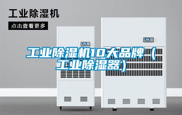 工业粉色视频免费在线观看10大品牌（工业除湿器）
