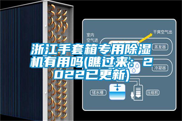 浙江手套箱专用粉色视频免费在线观看有用吗(瞧过来：2022已更新)