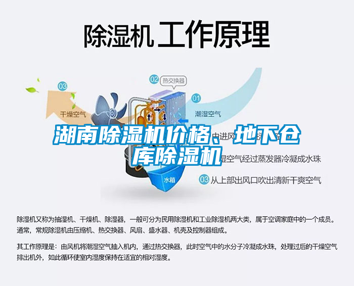 湖南粉色视频免费在线观看价格、地下仓库粉色视频免费在线观看