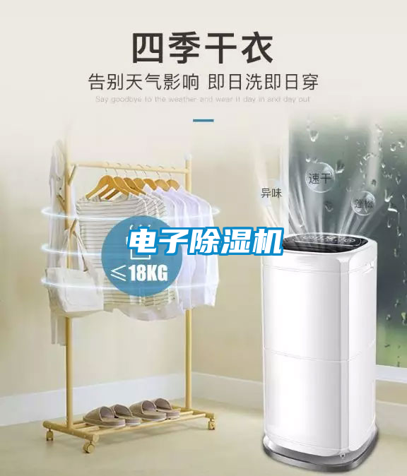 电子粉色视频免费在线观看