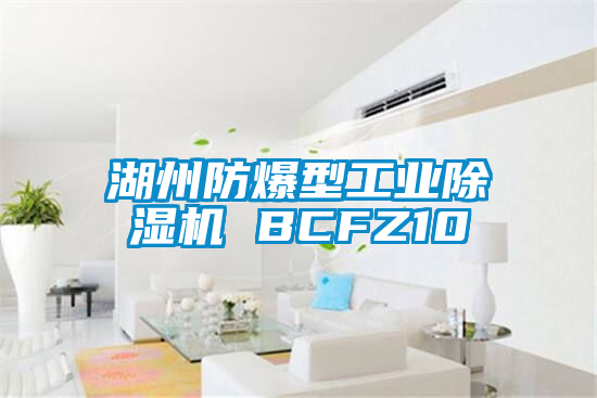 湖州防爆型工业粉色视频免费在线观看 BCFZ10