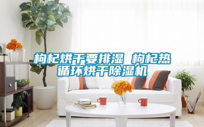 枸杞烘干要排湿 枸杞热循环烘干粉色视频免费在线观看