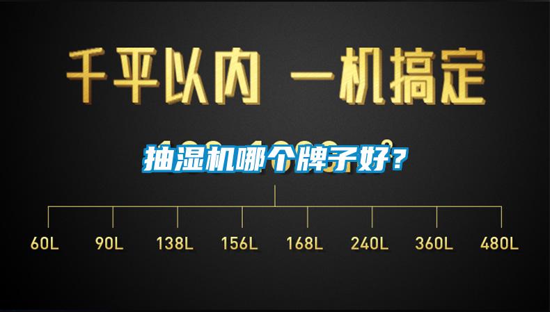 抽湿机哪个牌子好？